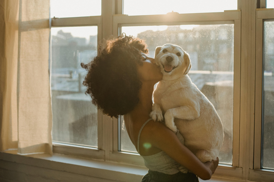 When Holistic Becomes Harmful: The Shadow Side of Conscious Dog Care