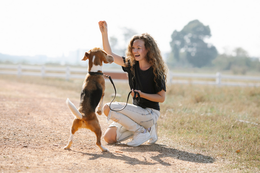 Rethinking Power, Purpose, and Partnership in Canine Care