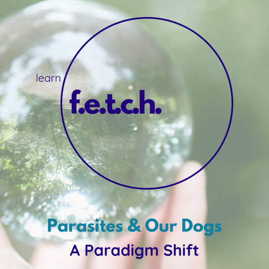 Parasites & Our Dogs: A Paradigm Shift eBook