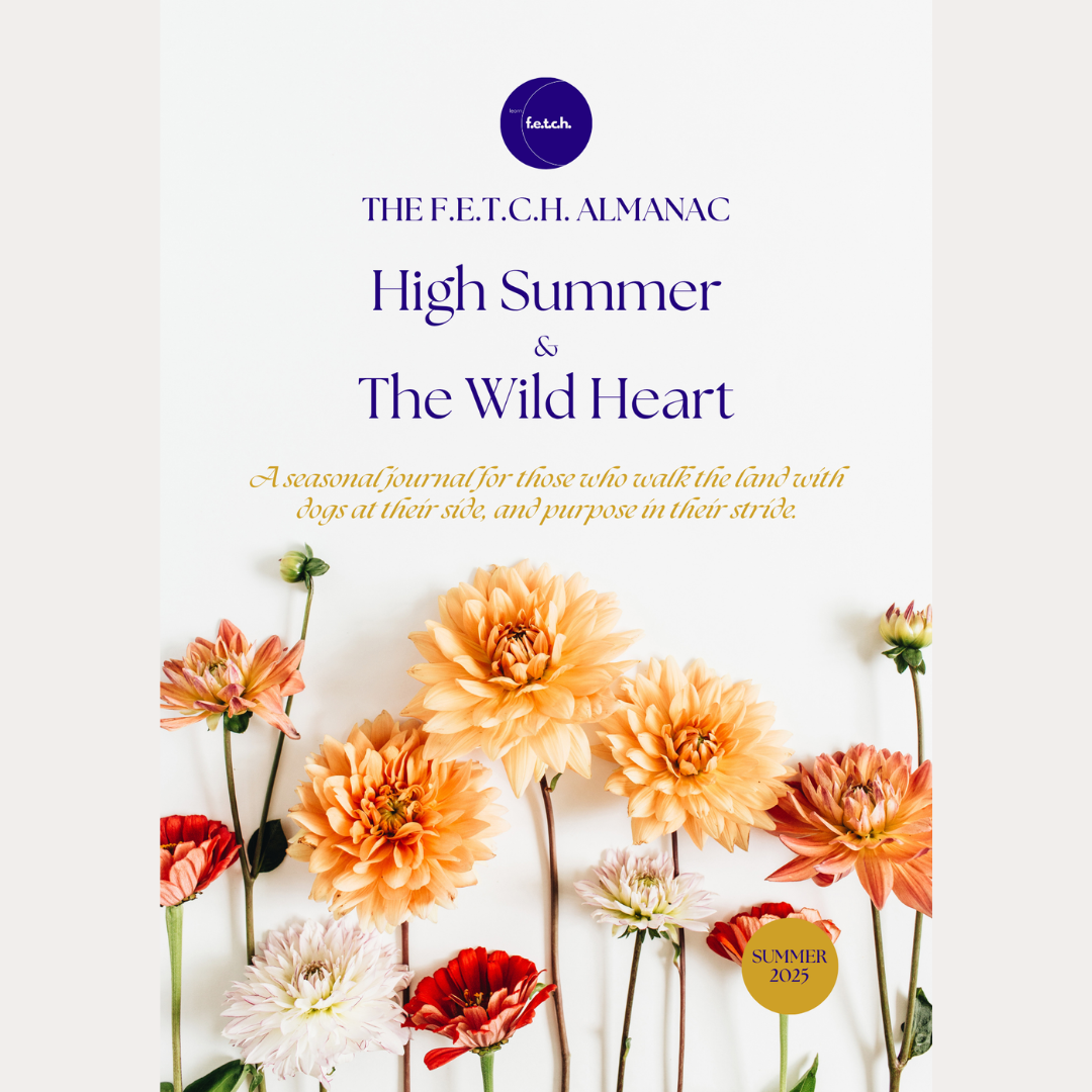 The F.E.T.C.H Almanac - Summer